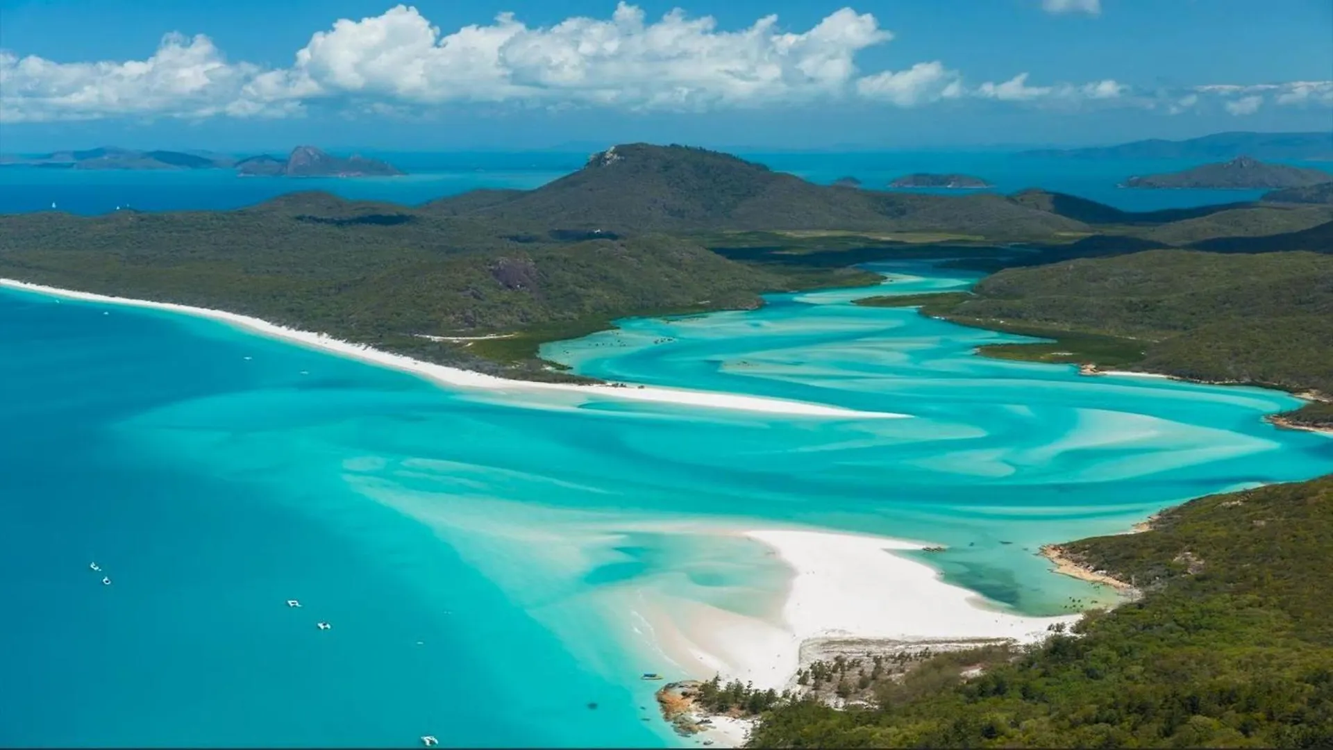 Shingley Beach Resort - Whitsundays Airlie Beach