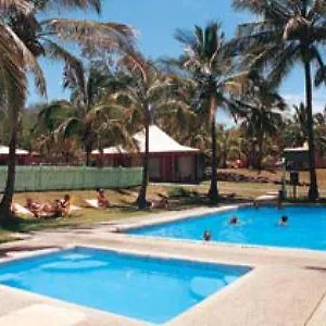 Koala ** Airlie Beach